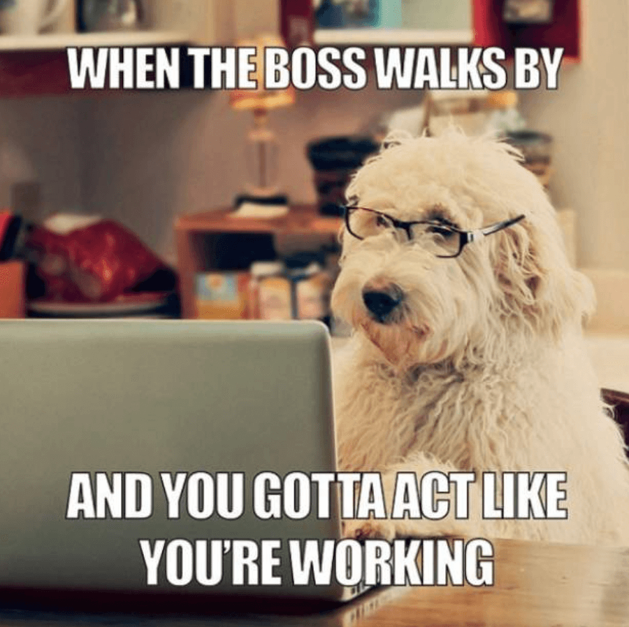 Funny And Relatable Work Memes To Make You Laugh - BROSIX