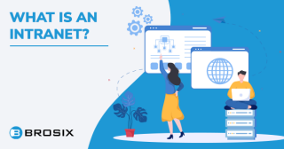 Intranet Vs. Extranet: Key Differences Explained - BROSIX