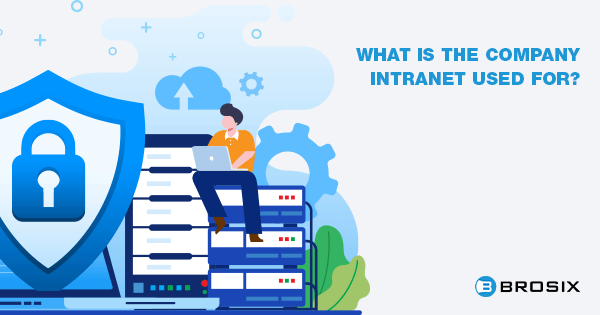 What is company intranet used for