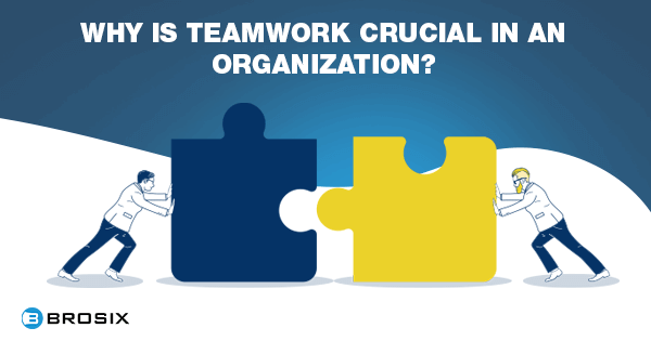 Why is teamwork crucial in an organization