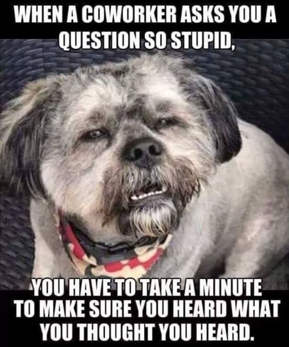 when a coworker asks you a question so stupid, you have to take a minute to make sure you heard what you thought you heard