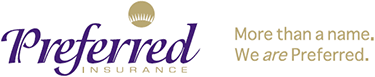 Preferred Insurance Group 