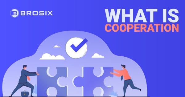 What is Cooperation?